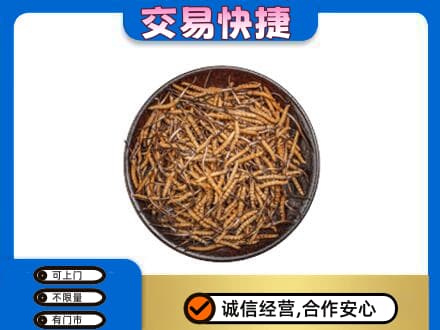 合浦县回收散虫草